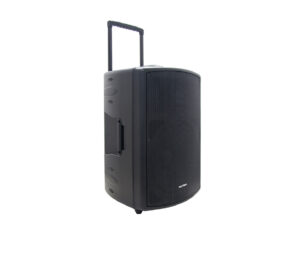 Trolley speaker polytron profesional karaoke